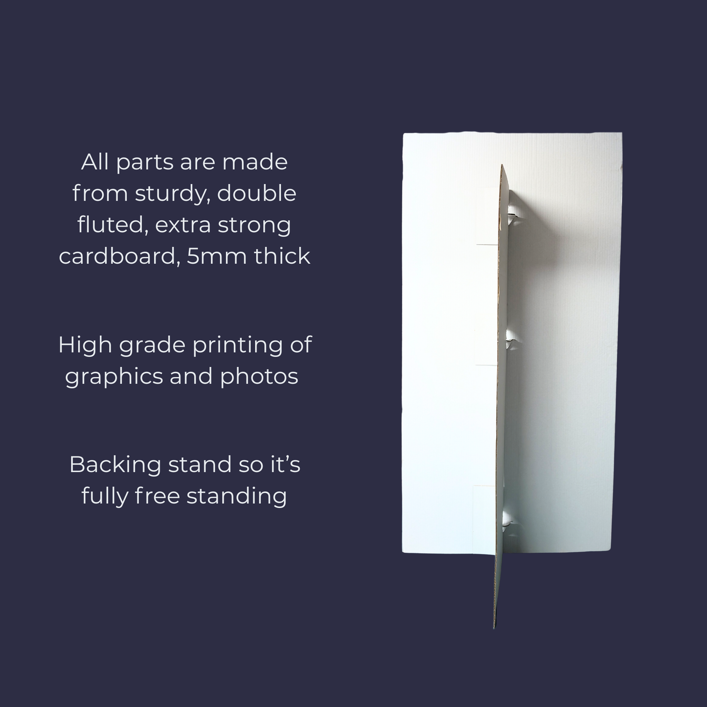 Custom Design Birthday Backdrop/Sailboard/Banner